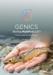 Shrimp MultiPath2.0 brochure cover