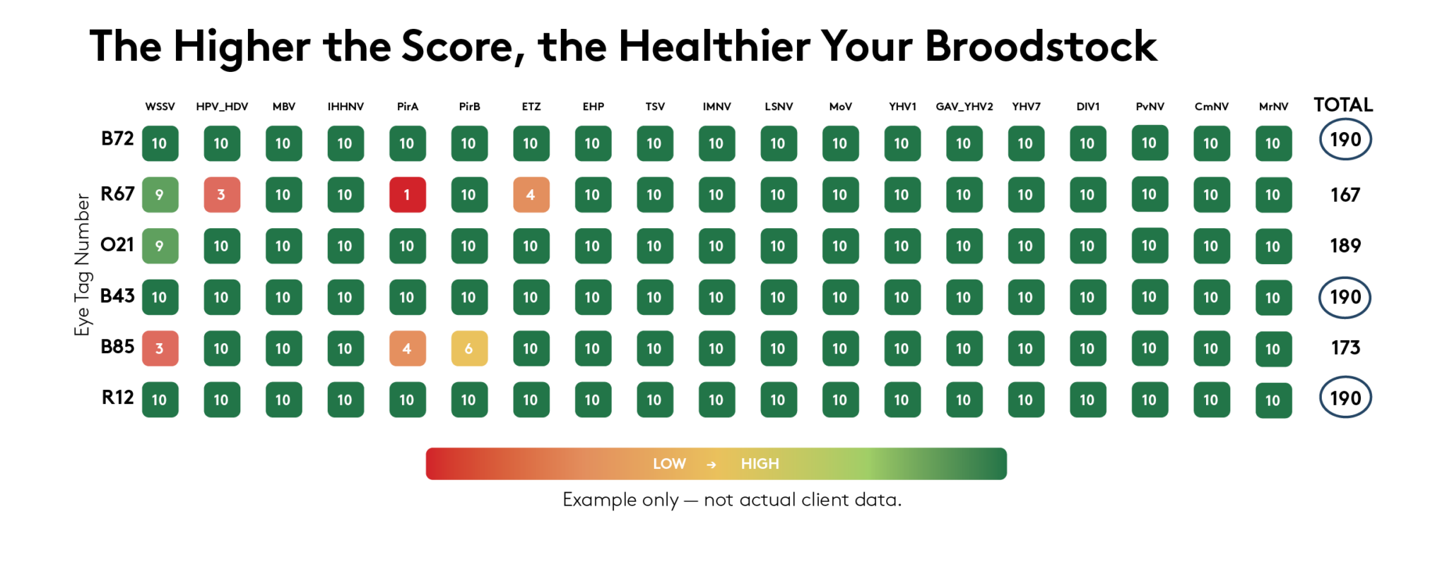 MultiScore broodstock graphic